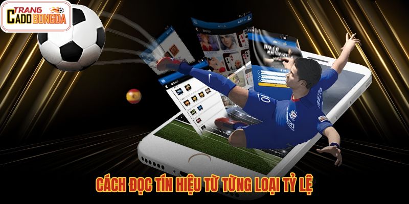 cach-doc-tin-hieu-tu-tung-loai-ty-le cach-doc-tin-hieu-tu-tung-loai-ty-le